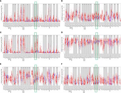 Prognostic value and immune infiltration of the gasdermin family in lung adenocarcinoma